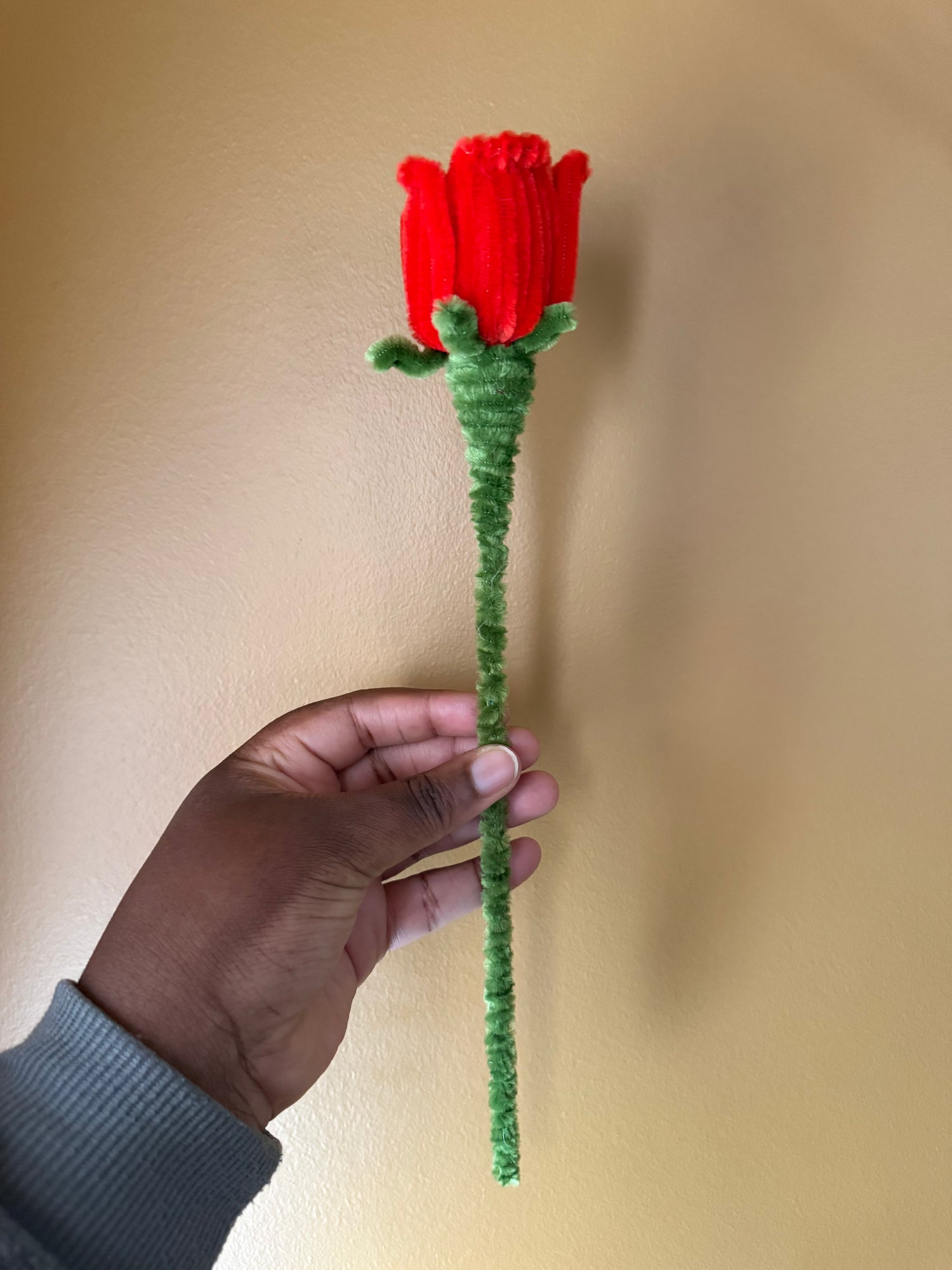 Valentine’s Day Collection