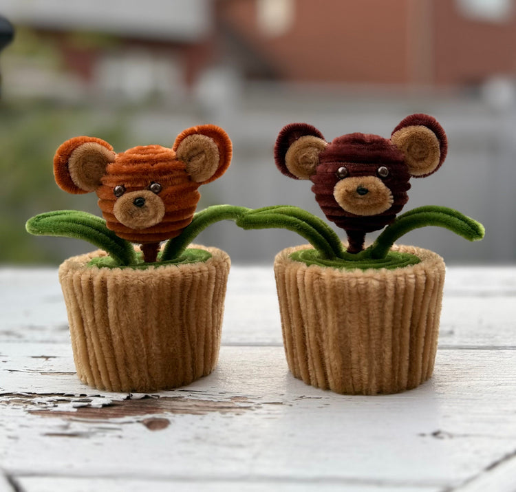 Teddy(left) and Timmy(right) bear twins side by side on deck