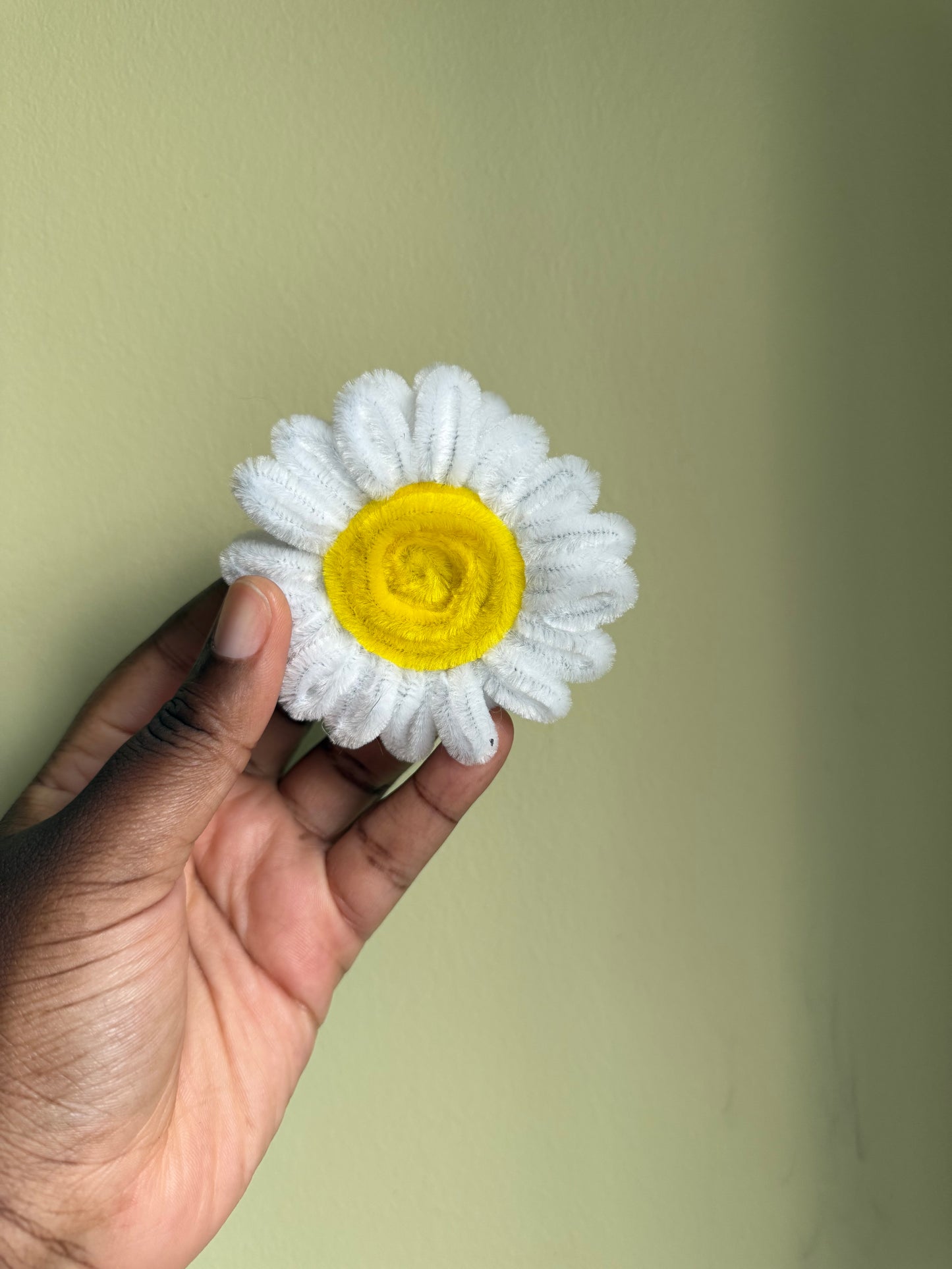 Daisy Magnet