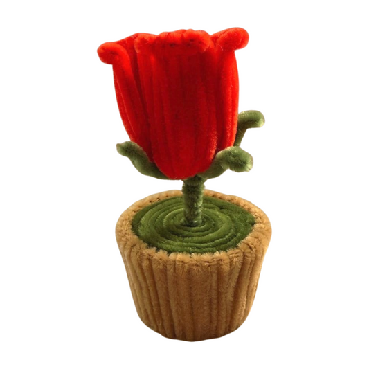 red rose in plain original minipot