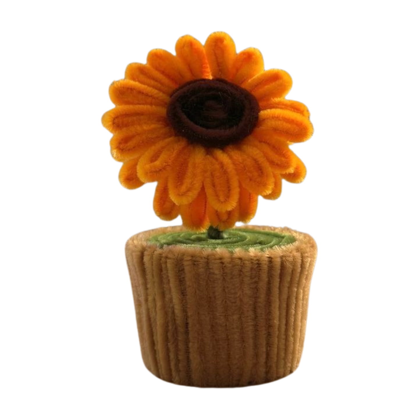 Sunflower bloom in original plain minipot